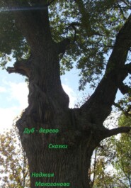 бесплатно читать книгу Дуб-дерево автора Наджия Макогонова