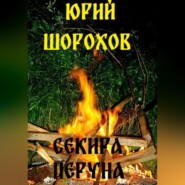 бесплатно читать книгу Секира Перуна автора Юрий Шорохов
