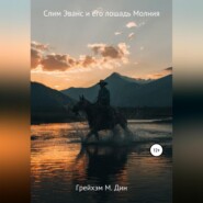 бесплатно читать книгу Слим Эванс и его лошадь Молния автора Грейхэм Дин