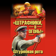 бесплатно читать книгу «Штрафники, в огонь!» Штурмовая рота (сборник) автора Владимир Першанин