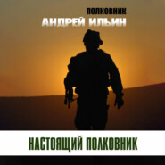 бесплатно читать книгу Настоящий полковник автора Андрей Ильин