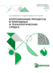 бесплатно читать книгу Коррозионные процессы в природных и технологических средах автора С. Березина