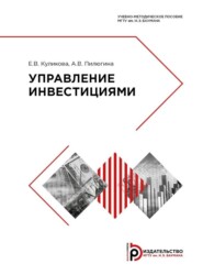 бесплатно читать книгу Управление инвестициями автора Елена Куликова