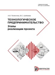 бесплатно читать книгу Технологическое предпринимательство. Этапы реализации проекта автора В. Шибаева