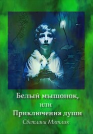 бесплатно читать книгу Белый мышонок, или Приключения души автора Светлана Мятлик