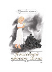 бесплатно читать книгу Последний проект Бога автора Елена Шулаева