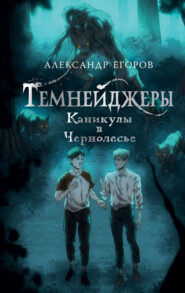 бесплатно читать книгу Темнейджеры. Каникулы в Чернолесье автора Александр Егоров