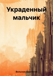 бесплатно читать книгу Украденный мальчик автора Анастасия Вольская