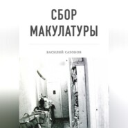 бесплатно читать книгу Сбор макулатуры автора Василий Сазонов