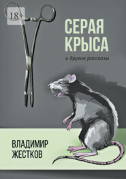 бесплатно читать книгу Серая крыса и другие рассказы автора Владимир Жестков