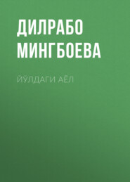 бесплатно читать книгу Йўлдаги аёл автора Дилрабо Мингбоева