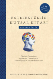 бесплатно читать книгу Entelektüelin kutsal kitabı - modern kültür автора David S. Kidder