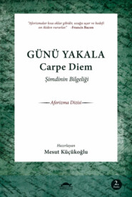 бесплатно читать книгу Günü Yakala автора Mesut Küçükoğlu