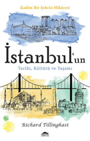 бесплатно читать книгу İstanbul'un tarihi, kültürü ve yaşamı автора Richard Tillinghast