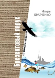 бесплатно читать книгу Брезентовый парус, или Каникулы в Астрахани автора Игорь Братченко