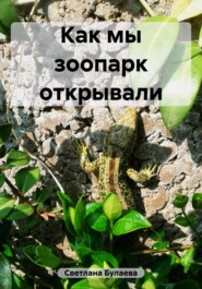 бесплатно читать книгу Как мы зоопарк открывали автора  Светлана Булаева