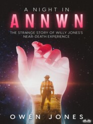 бесплатно читать книгу A Night In Annwn автора Owen Jones