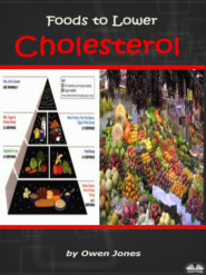 бесплатно читать книгу Foods To Lower Cholesterol автора Owen Jones