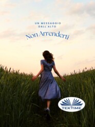 бесплатно читать книгу Non Arrenderti автора Editions Melisse