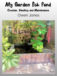 бесплатно читать книгу My Garden Fish Pond автора Owen Jones