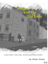 бесплатно читать книгу Megan And The Old Lady автора Owen Jones
