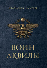 бесплатно читать книгу Воин аквилы автора Владислав Шмыглёв