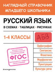бесплатно читать книгу Русский язык в схемах, таблицах, рисунках автора Елена Пожилова
