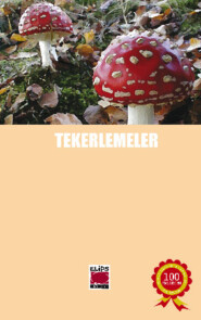 бесплатно читать книгу Tekerlemeler автора  Неизвестный автор