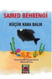 бесплатно читать книгу Küçük Kara Balık автора Samed Behrengi