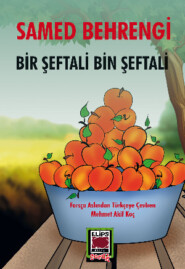бесплатно читать книгу Bir Şeftali Bin Şeftali автора Samed Behrengi