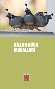бесплатно читать книгу Billur Köşk Masalları автора  Неизвестный автор