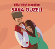 бесплатно читать книгу Saka Güzeli-Billur Köşk Masalları автора  Неизвестный автор
