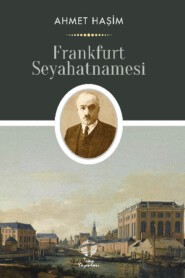 бесплатно читать книгу Frankfurt Seyahatnamesi автора Ahmet Haşim