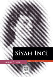 бесплатно читать книгу Siyah İnci автора Анна Сьюэлл