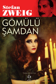бесплатно читать книгу Gömülü Şamdan автора Стефан Цвейг