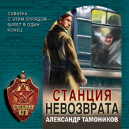 бесплатно читать книгу Станция невозврата автора Александр Тамоников