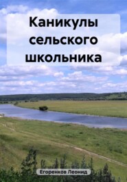 бесплатно читать книгу Каникулы сельского школьника автора Леонид Егоренков