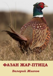 бесплатно читать книгу Фазан жар-птица автора Валерий Жиглов