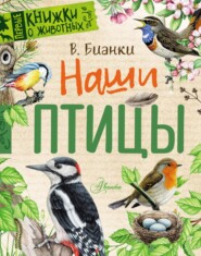 бесплатно читать книгу Наши птицы автора Виталий Бианки