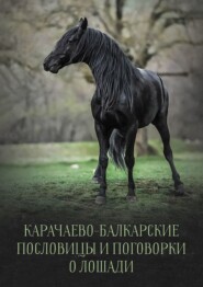 бесплатно читать книгу Карачаево-Балкарские пословицы и поговорки о лошади автора Т. Дотдаев