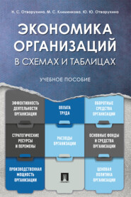 бесплатно читать книгу Экономика организаций в схемах и таблицах автора М. Клименкова
