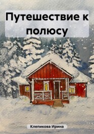бесплатно читать книгу Путешествие к полюсу автора Ирина Клепикова