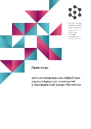 бесплатно читать книгу Автоматизированная обработка маркшейдерских измерений в программной среде «Micromine»: практикум автора Никита Анашкин