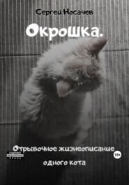 бесплатно читать книгу Окрошка. Отрывочное жизнеописание одного кота автора Сергей Носачев