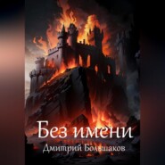 бесплатно читать книгу Без имени автора Дмитрий Большаков