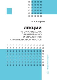 бесплатно читать книгу Лекции по организации, планированию и управлению строительством мостов автора Владимир Смирнов
