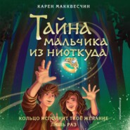 бесплатно читать книгу Тайна мальчика из ниоткуда автора Карен Макквесчин