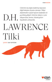 бесплатно читать книгу Tilki автора Lawrence D.