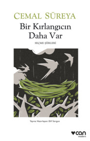 бесплатно читать книгу Bir Kırlangıcın Daha Var автора Süreya Cemal