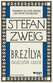 бесплатно читать книгу Brezilya-Geleceğin Ülkesi автора Stefan Zweig
